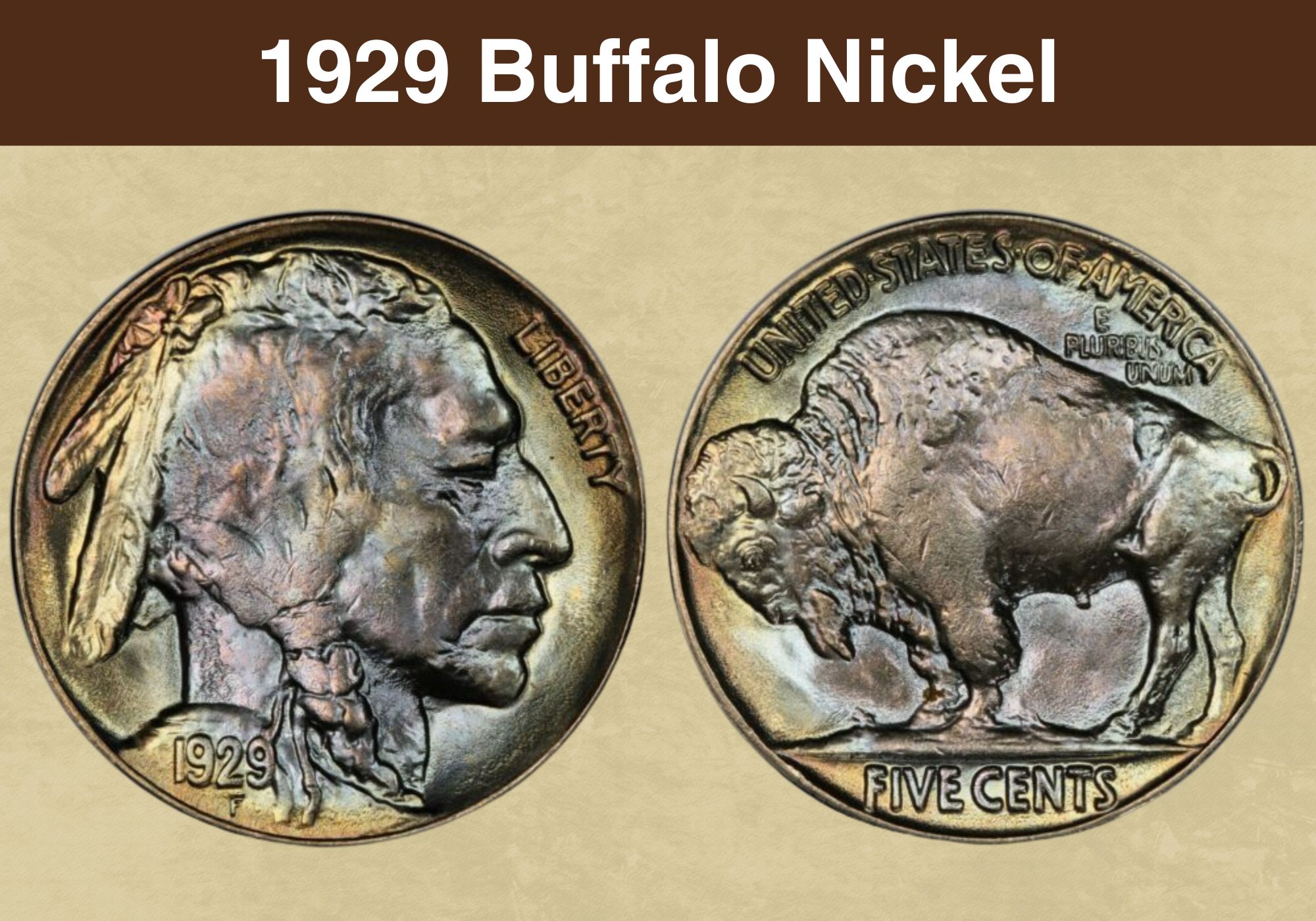 1929 Buffalo Nickel Coin Value (Errors List, 