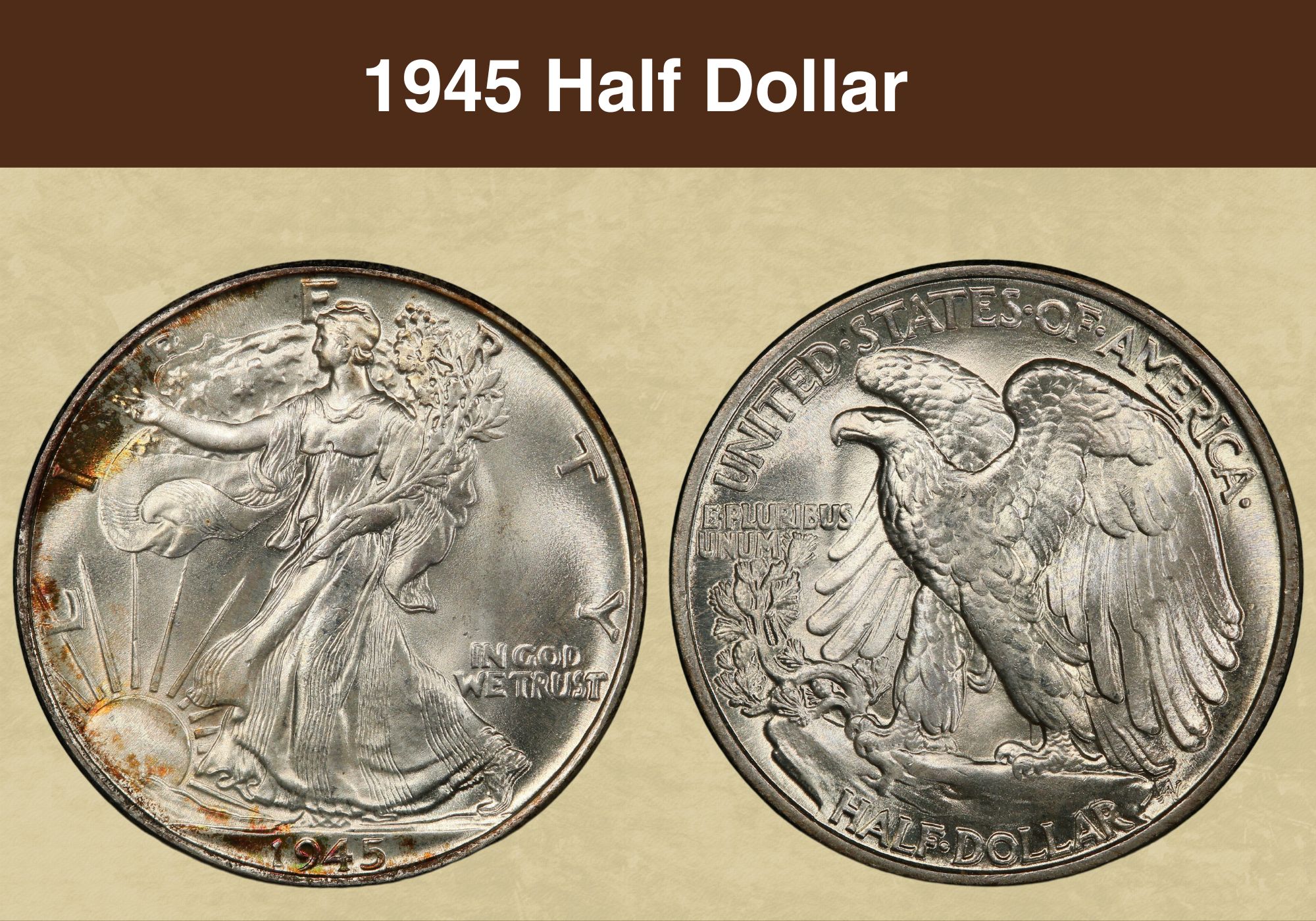 1945 Half Dollar Coin Value (Errors List, “D”, “S” & No Mint Mark Worth)