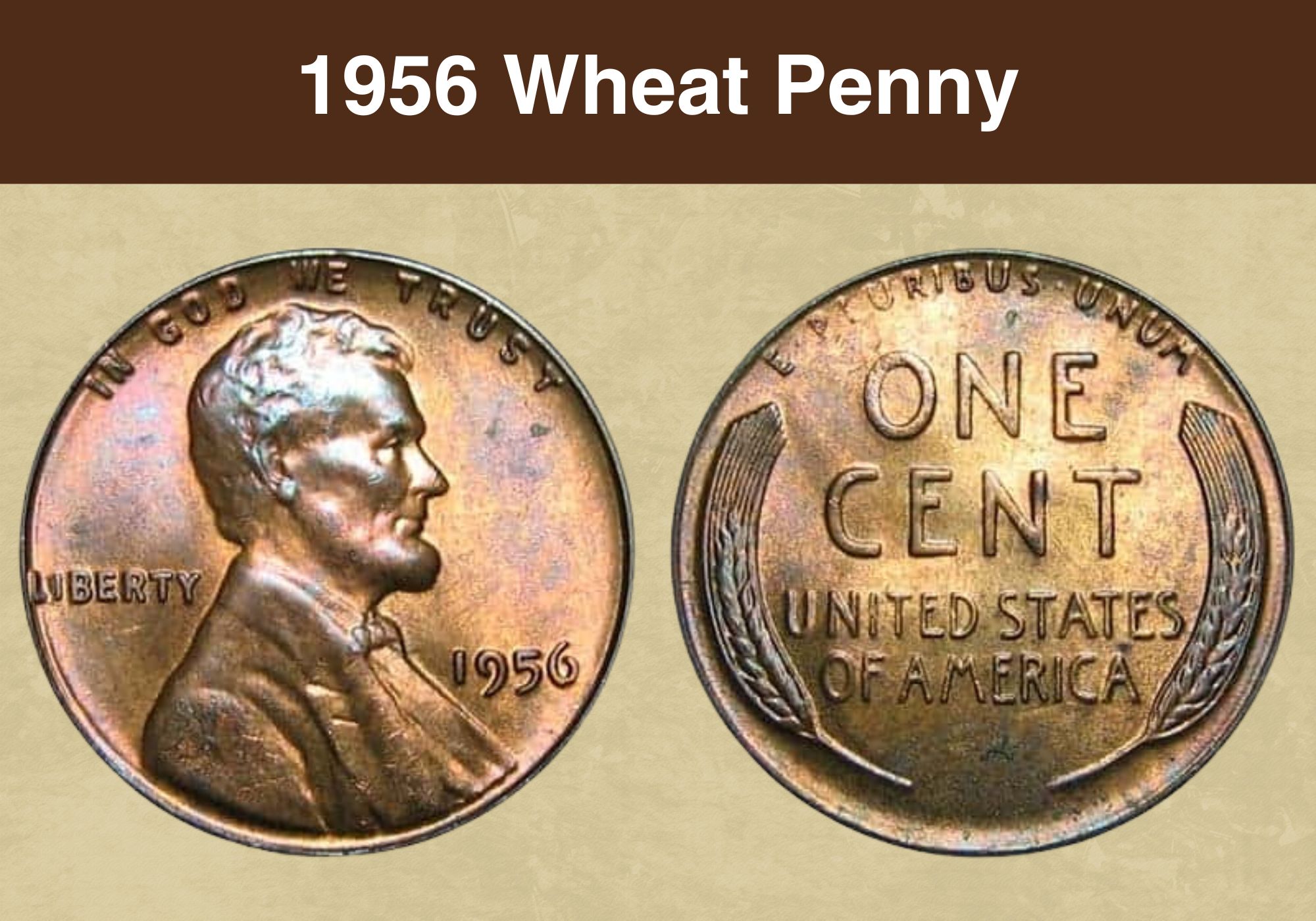 1956 Wheat Penny Coin Value (Price Chart, Error List, History & Varieties)