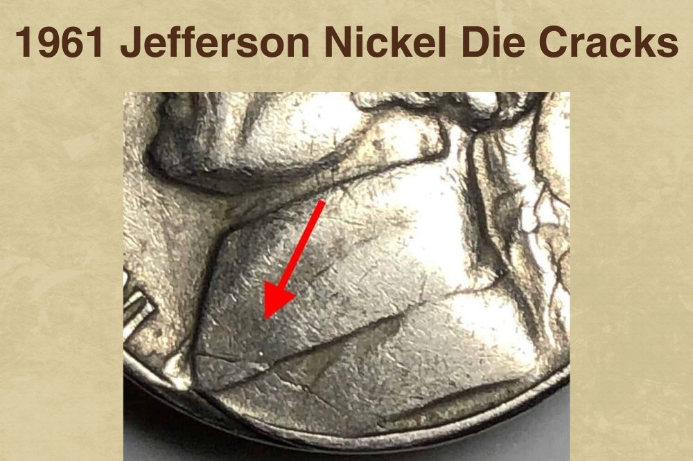 17 Most Valuable Buffalo Nickel Worth Money (With Pictures)