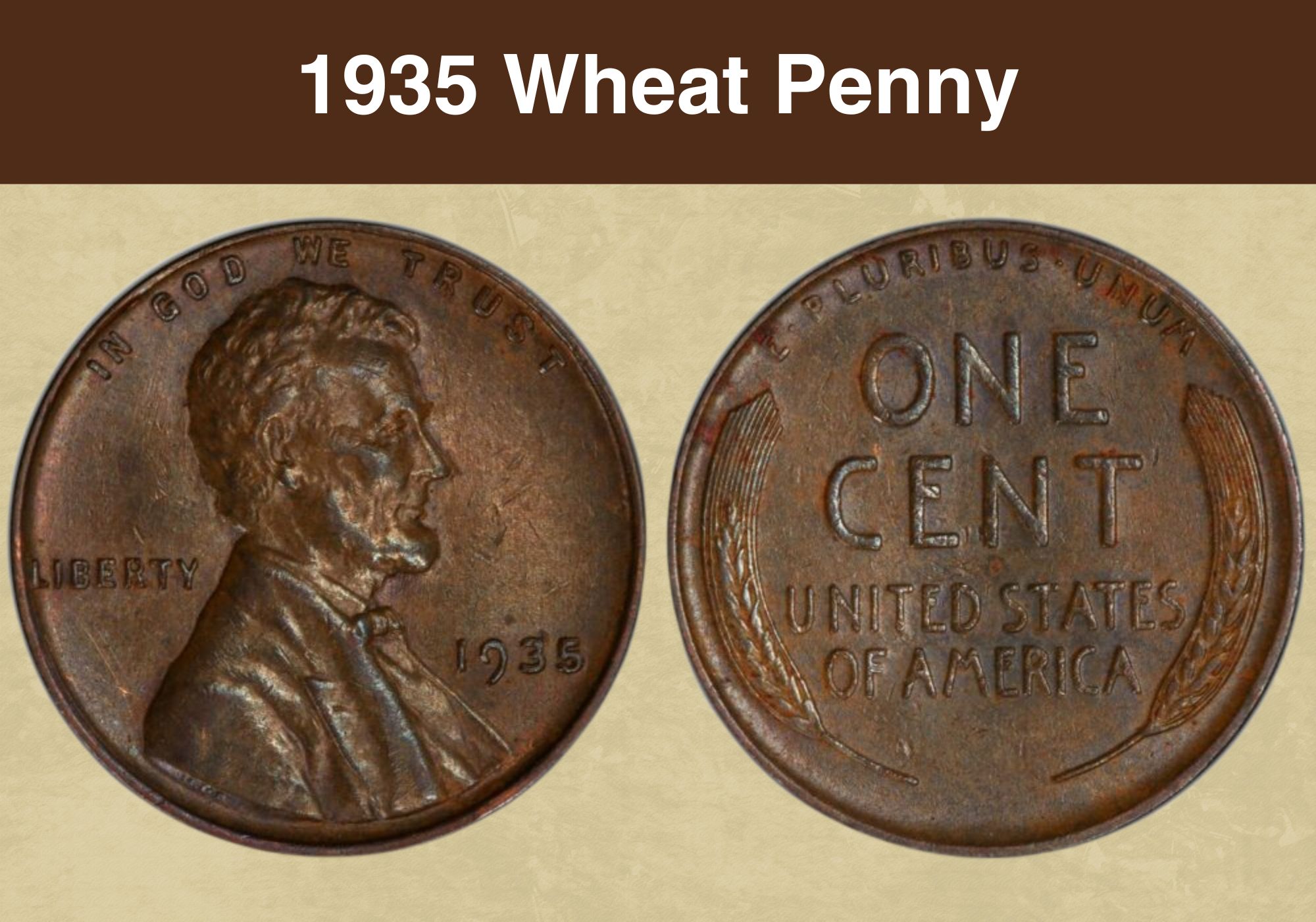 The most valuable circulated penny, 10 cent and 50 cent coins as 2021  mintage figures revealed