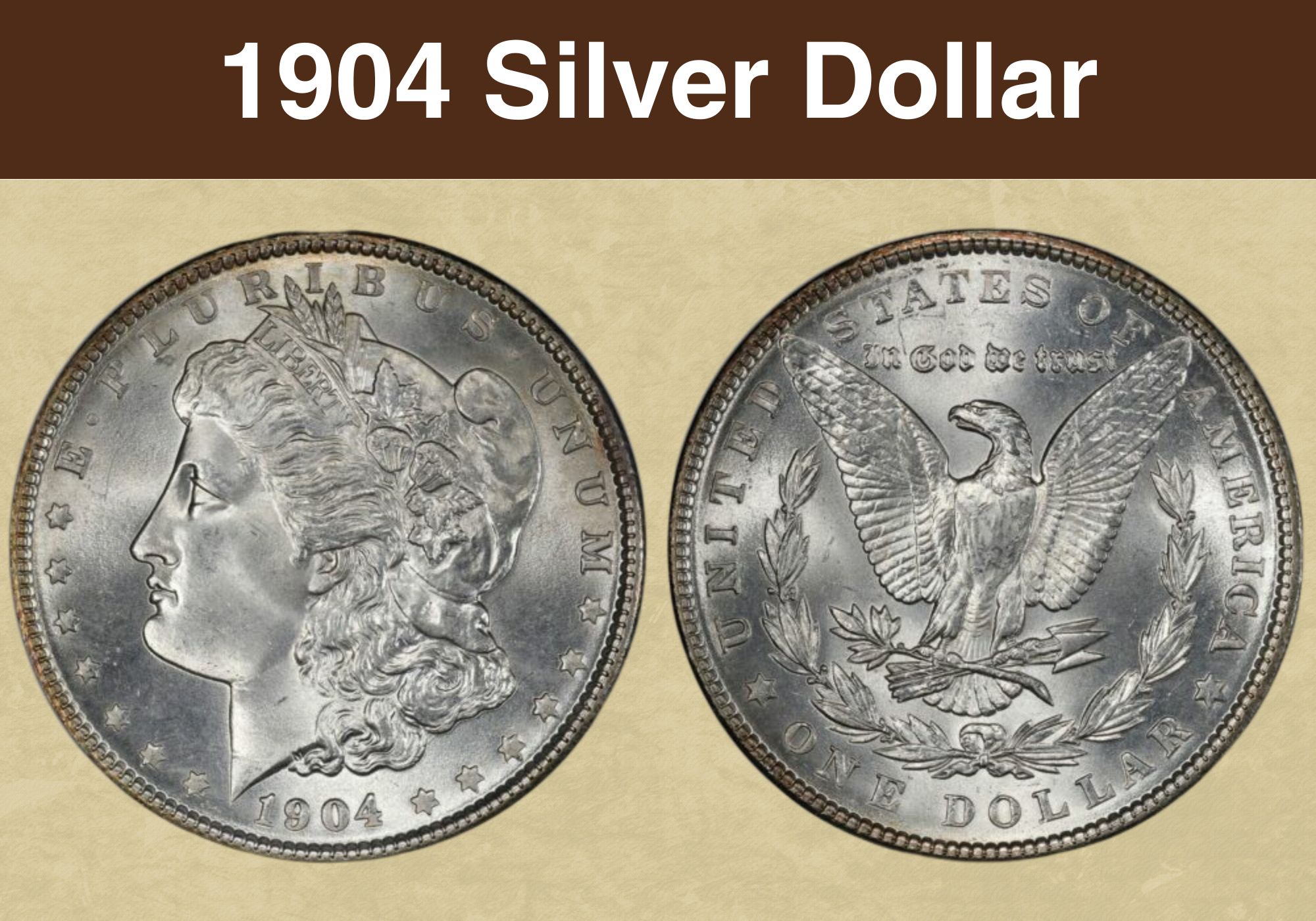 1904 Silver Dollar Value (Price Chart, Error List, History & Varieties)