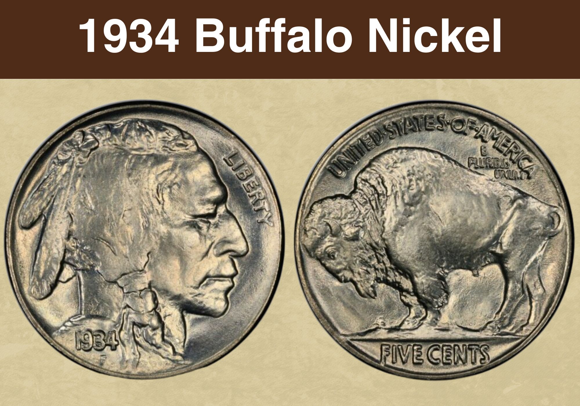 1934 Buffalo Nickel Coin Value (Errors List, 